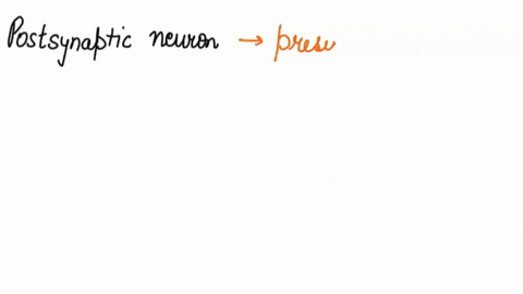 postsynaptic-neurons-can-either-excite-or-inhibit-presynaptic-neurons-true-or-false-88278