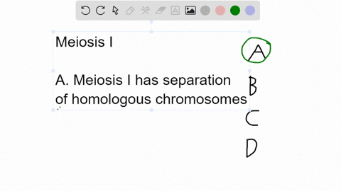 during-meiosis-i-select-all-that-apply-a-homologous-chromosomes-separate-b-crossing-over-occurs-between-homologous-chromosomes-c-independent-assortment-of-chromosomes-occurs-d-the-dna-replic-77691