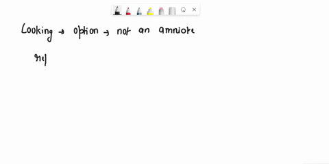 question-27-amniotes-include-all-of-the-following-except-reptiles-amphiblans-birds-d-mammals-question-28-consequences-of-mass-extinctions-include-the-elimination-of-many-species-long-period-66374