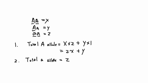 suppose-you-observed-genotypes-aa-aa-and-aa-and-their-counts-are-x-y-z-respectively-1-calculate-the-total-number-of-a-allele-2-calculate-the-total-number-of-a-allele-3-calculate-the-total-number-of-al