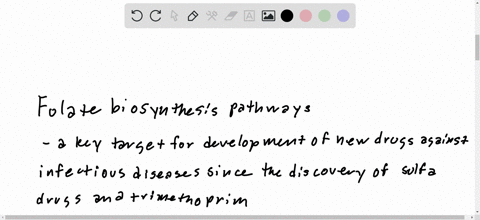 describe-the-folate-biosynthesis-and-metabolism-pathways-and-identify-three-different-classes-of-drugs-along-with-their-mechanism-of-action-that-have-been-discovered-involving-these-pathways
