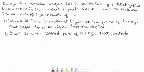 explain-the-functions-of-eye-cornea-pupil-lens-iris-ciliary-muscle-structure-of-human-eye-peua-0-tet-30885