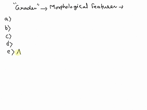 animals-can-be-categorized-into-four-grades-by-their-morphological-features-which-of-the-following-is-correct-parazoa-are-animals-that-lack-true-tissues-eumetazoa-are-animals-that-have-true-74161