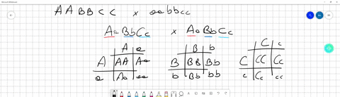 consider-a-true-breeding-plant-aabbcc-crossed-with-another-true-breeding-plant-aabbcc-whose-resulting-offspring-are-aabbcc-if-you-cross-the-f1-where-independent-assortment-is-operational-a-w-56371