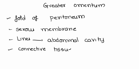 what-tissues-make-up-the-greater-omentum-and-what-is-its-function-64385