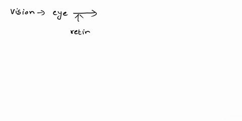 cutting-which-of-the-following-leads-to-total-blindness-in-the-right-eye-optic-chiasm-left-optic-tract-right-optic-tract-right-optic-nerve-left-optic-nerve-16832