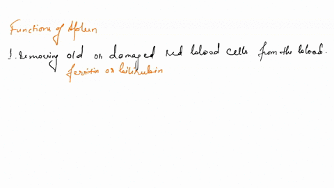 functions-of-the-spleen-include-all-those-below-except-removing-old-or-damaged-red-blood-cells-from-the-blood-storing-platelets-storing-iron-aiding-in-the-fight-against-pathogens-by-containi-90107