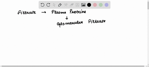 what-should-not-be-found-in-filtrate-acids-and-bases-metabolic-wastes-plasma-proteins-water-and-electrolytes-18876