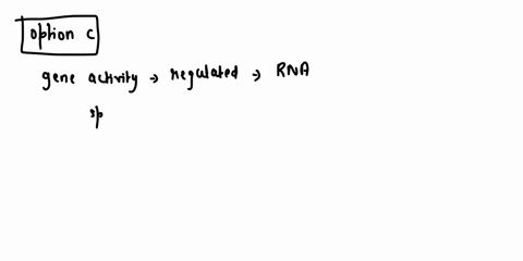 which-of-the-following-statements-about-the-regulation-of-gene-expression-in-eukaryotes-is-correct-a-gene-activity-cannot-be-regulated-by-the-stability-of-the-rna-transcript-b-gene-activity-90342
