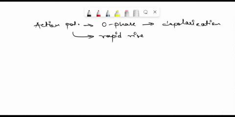 3n-refer-to-the-following-graph-of-a-cardiac-muscle-cell-action-potential-3-during-phase-0-of-this-graph-which-ionfs-are-moving-across-the-cell-membrane-sodium-calcium-0-calcium-and-sodium-0-94104