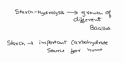 1-how-do-you-think-a-positive-starch-hydrolysis-reaction-relates-to-the-growth-of-different-bacillus-species-in-food-27822