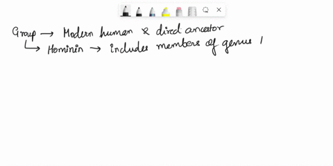 what-is-the-name-of-he-group-that-consists-only-of-modern-humans-and-their-direct-ancestors-68402