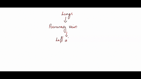 pulmonary-trunk-lungs-left-atrium-pulmonary-veins-tricuspid-rt-av-valve-pulmonary-semilunar-valve-arteries-that-lead-to-body-tissues-superior-inferior-vena-cava-left-atrium-aorta-bicuspid-mi-19026