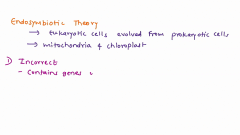 which-of-the-following-provides-support-for-the-endosymbiotic-theory-multiple-choice-mitochondria-and-chloroplasts-contain-genes-that-are-vastly-different-compared-to-bacterial-genes_-mitoch-49929
