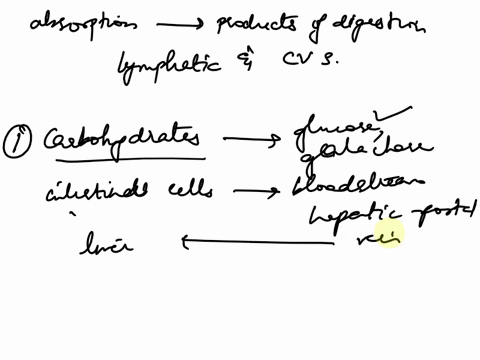 discuss-the-absorption-of-the-products-of-digestion-into-the-lymphatic-and-cardiovascular-systems-2-34912
