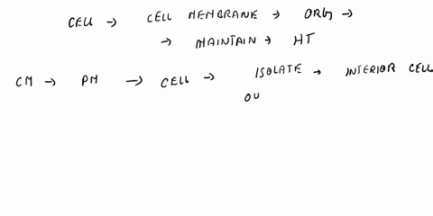 cells-made-of-organelles-specialized-structures-that-each-perform-specific-that-help-the-cell-maintain-homeostasis-this-is-much-like-the-body-systems-work-together-to-help-the-body-maintain-83733