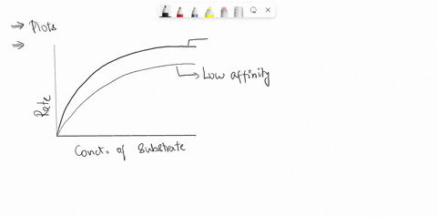 spts-draw-relative-plots-for-reaction-rate-as-function-of-substrate-concentration-for-a-reaction-with-tight-enzyme-substrate-binding-and-b-binding-reaction-with-weak-enzymesubstrate-label-th-05893