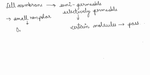 the-cell-membrane-is-selectively-permeable-because-a-particles-can-quickly-pass-through-it-b-only-nutrient-molecules-can-pass-through-it-c-only-certain-particles-can-pass-through-it-d-all-pa-30944