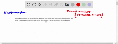 in-conversion-of-lactic-acid-to-glucose-three-reactions-of-glycolytic-pathway-are-circumvented-which-of-the-following-enzymes-do-not-participate-in-such-conversion-pyruvate-carboxylase-pyruv-04714
