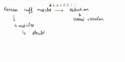 1-one-or-more-rotator-cuff-muscles-cause-which-of-the-following-movements-of-the-arm-select-all-that-apply-a-abduction-b-adduction-c-extension-d-flexion-e-lateral-rotation-f-medial-rotation-31875