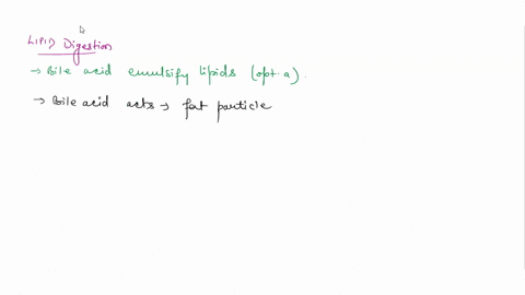 which-of-the-following-is-true-about-lipid-digestion-bile-acids-emulsify-lipids-lipase-produced-in-the-stomach-emulsifies-lipids-lipase-produced-in-the-mouth-emulsifies-lipids-pancreatic-lip-53175