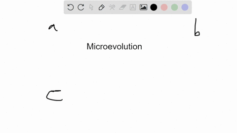 consider-a-hypothetical-insect-population-of-100-individuals-two-equally-represented-alleles-a-and-a-exist-for-a-particular-gene-which-scenario-is-an-example-of-microevolution-in-this-popula-19048