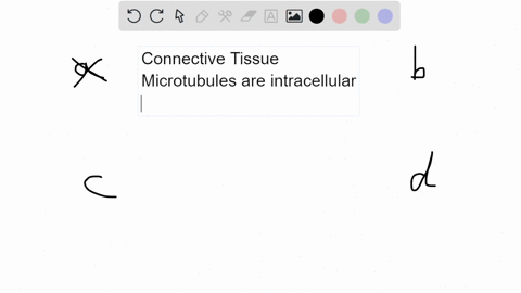 question-28-which-of-the-following-statements-about-animal-connective-tissues-is-true-the-extracellular-matrix-ecm-of-connective-tissues-is-rich-in-microtubules-b-the-cells-in-connective-tis-66603