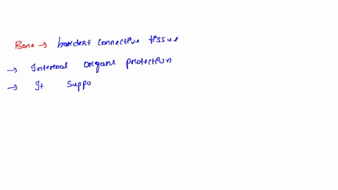 which-type-of-connective-tissue-has-a-mineralized-different-matrix-a-loose-connective-tissue-b-fibro-16626