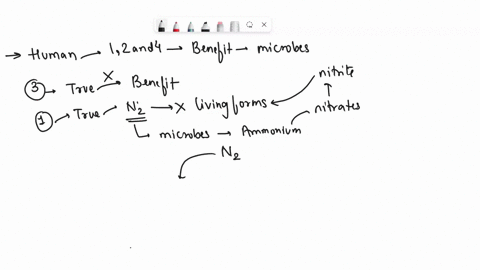 identify-all-the-statements-that-describe-the-benefits-of-microbes-from-a-human-perspective-check-all-that-apply-1-nitrogen-gas-is-not-accessible-for-use-by-most-organisms-without-the-help-o-49235