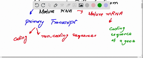 in-eukaryotic-cells-how-does-pre-mrna-differ-from-mature-mrna-explain-the-purpos-of-each-of-the-three-pre-mrna-processing-events-give-the-order-in-which-these-events-occur-specify-the-pre-mr-79509