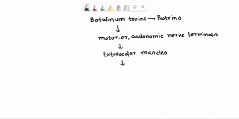 botulins-are-potent-neurotoxins-produced-by-the-bacillus-clostridium-botulinum-the-toxins-are-proteins-that-bind-to-a-receptor-on-the-presynaptic-membrane-of-neurons-in-peripheral-cholinergi-02451