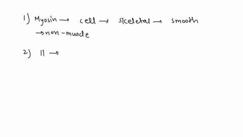 which-of-the-following-best-describes-the-role-of-myosin-isoforms-in-different-cell-types-myosin-isoforms-assemble-into-filaments-in-skeletal-muscle-cardiac-muscle-and-smooth-muscle-cells-bu-24678