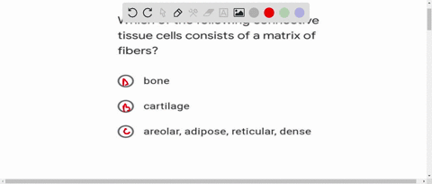 which-of-the-following-connective-tissue-cells-consists-of-a-matrix-of-fibers-0-bone-o-cartilage-o-areolar-adipose-reticular-dense-60246