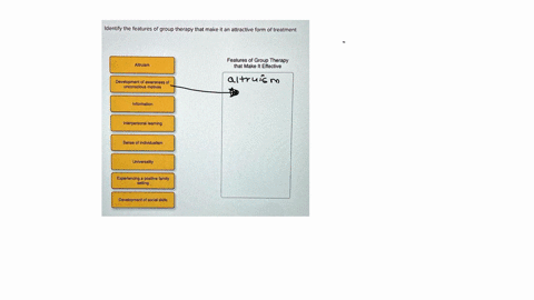 i-need-help-with-this-please-and-thank-you-identify-the-features-of-group-therapy-that-make-it-an-attractive-form-of-treatment-features-of-group-therapy-that-make-it-effective-altruism-devel-55904