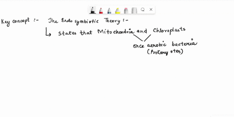 describe-the-theory-of-endosymbiosis-explaining-the-emergence-of-eukaryotic-cells-include-supportive-evidence-in-regards-to-mitochondria-and-chloroplast-17369