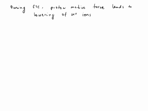 during-electron-transport-chain-is-in-the-process-of-cellular-respiration-the-proton-motive-force-leads-to-a-drastic-lowering-of-h-in-the-a-inter-membrane-space-b-within-the-cristae-c-mitoch-76419