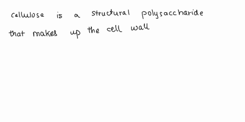 1-what-material-is-made-up-of-cellulose-a-wood-b-paper-c-plant-cell-walls-d-all-of-the-above-2-in-cells-electron-transport-chains-are-located-in-a-enzymes-b-ribosomes-c-microtubules-d-lipid-15818