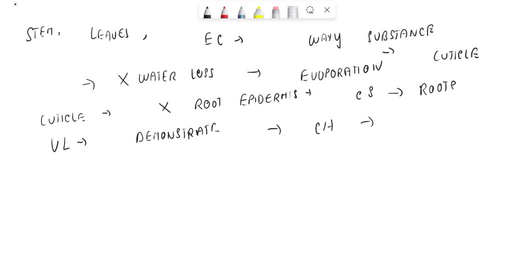 solved-3-as-you-know-plants-are-eukaryotes-they-have-nuclei-and-other