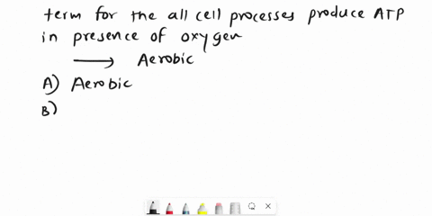 which-of-the-following-is-the-best-term-for-the-set-of-cell-processes-used-to-make-atp-for-energy-in-the-presence-of-oxygen-a-aerobic-b-metabolic-c-anaerobic-d-anabolic-48275