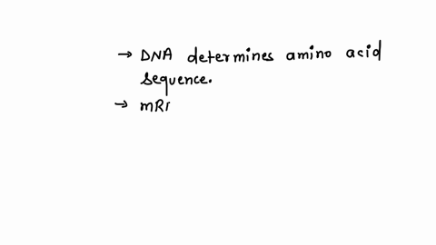 which-of-the-following-is-an-incorrect-description-dna-determines-the-amino-acid-sequence-of-our-proteins-transfer-rna-trna-transfers-the-instructions-for-protein-synthesis-to-the-ribosome-r-16909