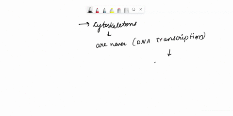 which-of-the-following-statements-is-not-true-of-a-eukaryotic-cytoskeleton-select-all-that-apply-cytoskeletons-provide-cell-structure-cytoskeletons-may-be-involved-with-cell-movement-cytoske-92142