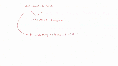 question-12-60-secs-deoxyribonucleic-acid-dna-is-different-from-ribonucleic-acid-rna-in-that-as-dna-contains-a-3-h-whereas-rna-contains-a-3-oh-b_-only-dna-utilizes-the-base-uracil-c-only-rna-46145