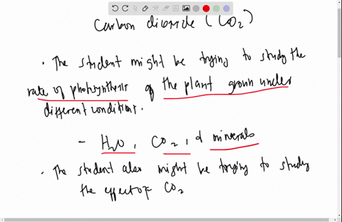 couprchension-a-student-put-together-two-different-experimental-setups-as-shown-below-answer-the-questions-below-that-relate-t0-this-experiment-bell-jar-geranium-plant-dilute-acid-and-marble-97436