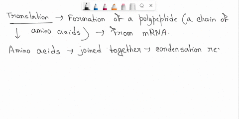 what-is-created-between-2-amino-acids-during-translation-dna-polymerase-peptide-bond-hydrogen-bond-rna-polymerase-69058