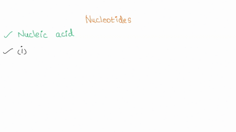 nucleotides-are-the-basic-unit-of-which-macromolecules-75168