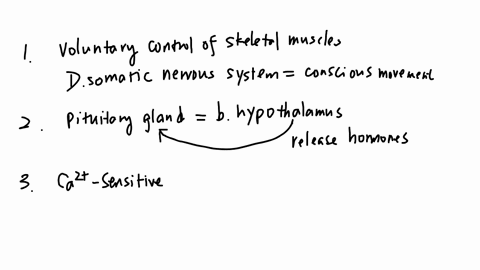 104-which-part-of-the-nervous-system-is-responsible-for-the-voluntary-control-of-skeletal-muscles-a-autonomic-nervous-system-b-sympathetic-nervous-system-c-parasympathetic-nervous-system-d-somatic-ner