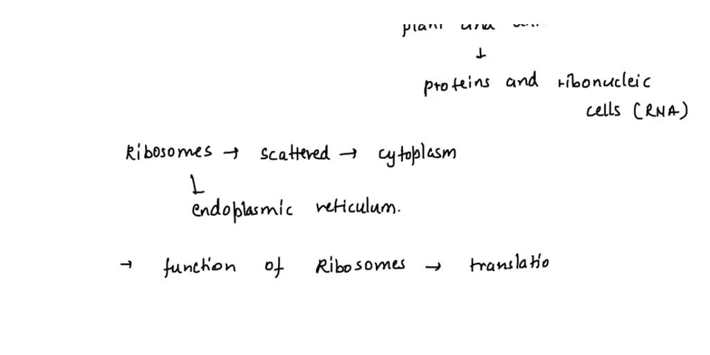 SOLVED: A diseased cell is no longer able to produce proteins. Which ...