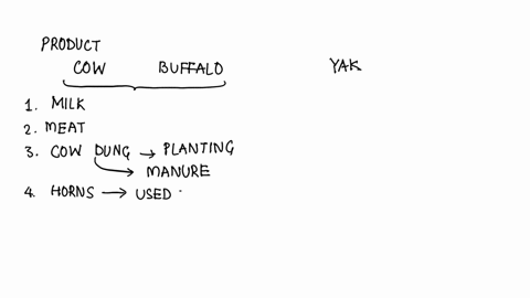 explain-about-the-product-of-cow-buffalo-and-yak-farming-38967