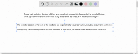 sonal-had-a-stroke-doctors-told-her-she-sustained-substantial-damage-to-the-occipital-lobes-what-type-of-deficiencies-will-sonal-likely-experience-as-a-result-of-this-brain-damage-45003