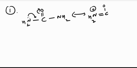name-due-september-8-2020-chem-2400-assignment-of-urea-shown-below-the-carbon-atom-in-urea-is-_-1-tho-structure-sp2-hybridized-sp3-hybridized-sp-hybridized-not-hybridized-the-atom-is-the-n-a-78117